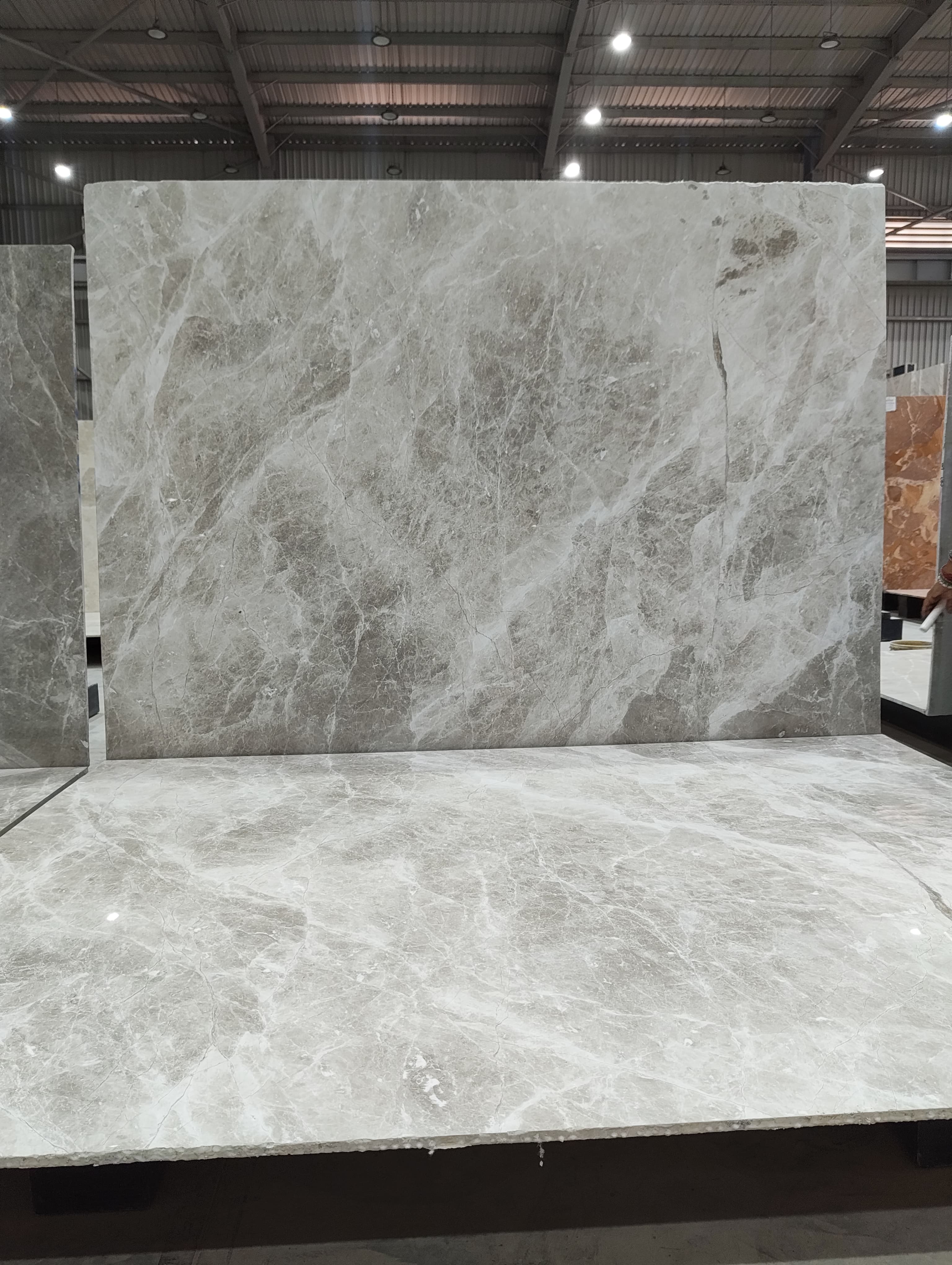 Cinerious Grey full lot view